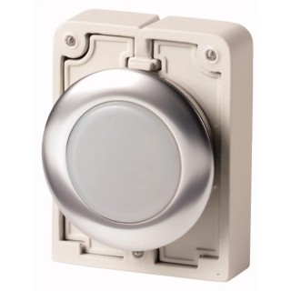 Eaton White Pilot Light 30 mm Cutout Metal Bezel IP67 Panel Mount RMQ Titan Series 183287 M30C-FL-W
