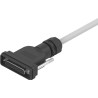Festo NEBV Series Cable Lead 10m Length D-Sub Connector For Valve Terminal NEBV-S1G25-K-10-N-LE25-S6