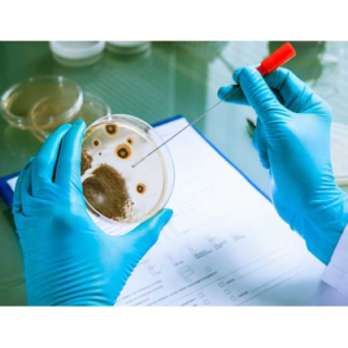 microbiozyme-fgx50-35194