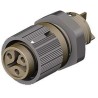 Wieland RST Mini Series Panel Mount Mini Connector Female Screw 3-Pole 16A 120V IP69 IP68 IP66 46.031.5050.4