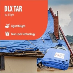 d-light-dlxtar-31565-1