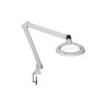 Luxo LED Magnifying Lamp with Table Clamp Mount 3.5dpt 165 mm Lens Diameter CIL027983