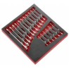 Facom 17-Piece Foam Module Spanner Set with Sizes 6 to 24 mm MODM.440J17SLS