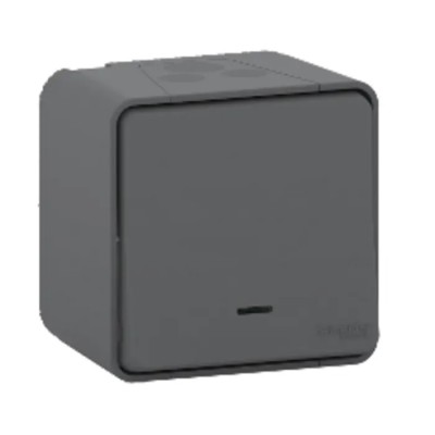 Schneider Electric Light Switch Surface 250V AC Rocker Actuator Grey Mureva Styl MUR35024
