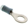TE Connectivity PIDG Insulated Ring Terminal M6 Stud Size 16 AWG to 14 AWG Wire Size Blue 130114