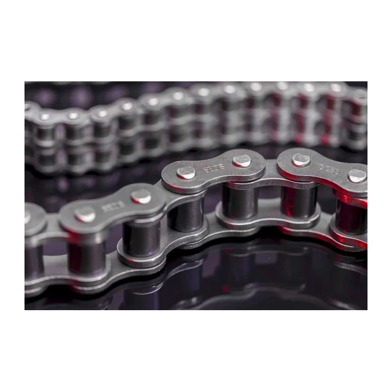 Sedis 12B-1 Roller Chain 5 m Length Carbon Steel Alpha Premium ISO 606 (DIN 8187) 13N7B01A00