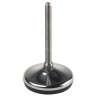 RS PRO M10 80 mm Diameter Stainless Steel Adjustable Foot, 1000 kg Static Load Capacity, 10° Tilt Angle 162-3262