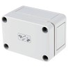 Spelsberg TK PS Series Grey Polystyrene Enclosure IP66 IK07 57 mm x 94 mm x 65 mm 11040201