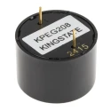RS PRO 83 dB Through Hole Continuous Internal 24 mm Diameter Piezo Buzzer Component 3V dc Min 20V dc Max 238-038