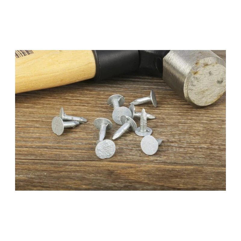 RS PRO Galvanised Extra Large Clout Nail 13 mm Length x 3 mm Diameter, 500 g Bag 170-1644