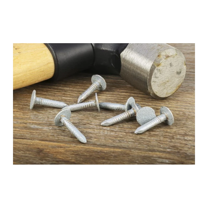 RS PRO Galvanised Brad Nails 20 mm Length x 3 mm Diameter 500 g Bag 170-1645