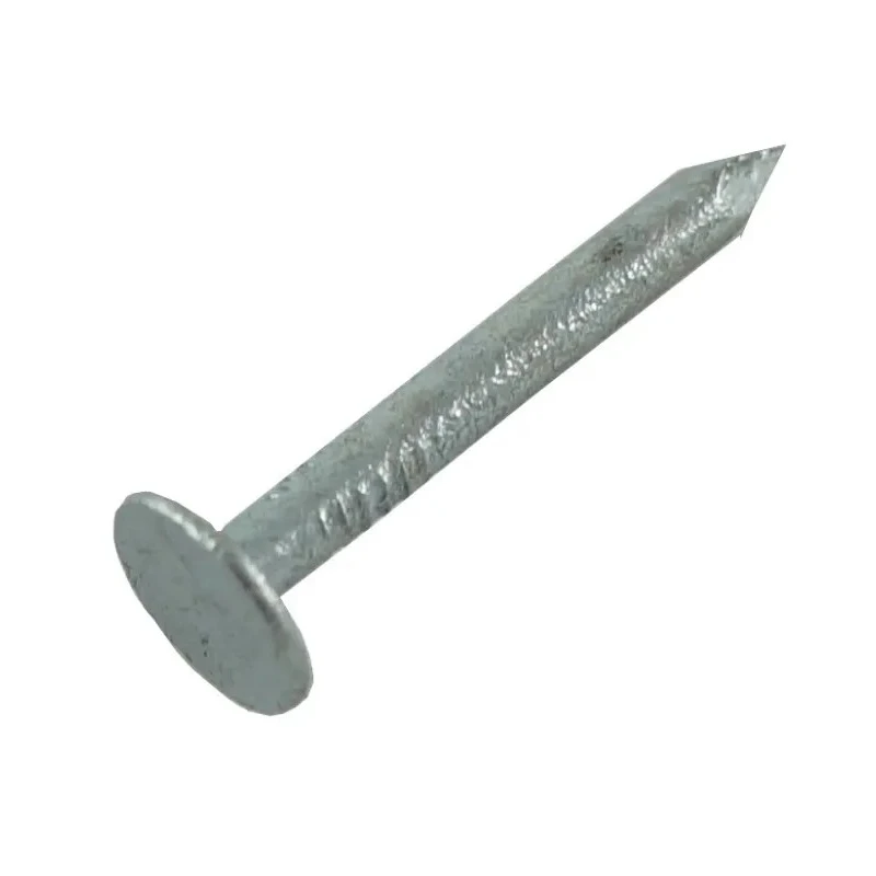 RS PRO Galvanised Clout Nail 30 mm Length 2.65 mm Diameter 500 g Bag 170-1637