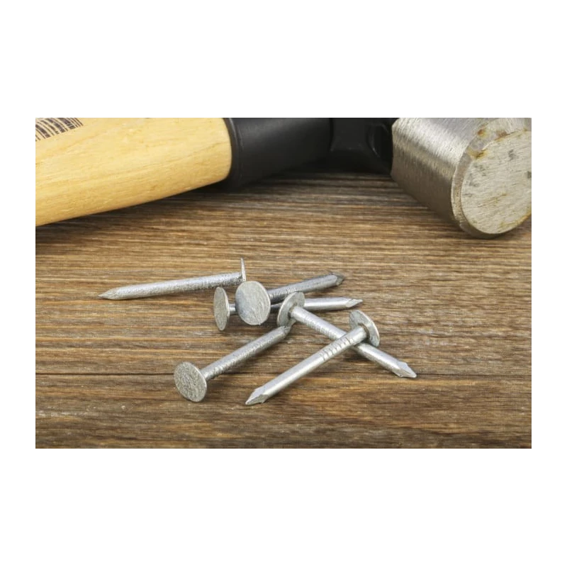 RS PRO Galvanised Clout Nail 30 mm Length 2.65 mm Diameter 500 g Bag 170-1637