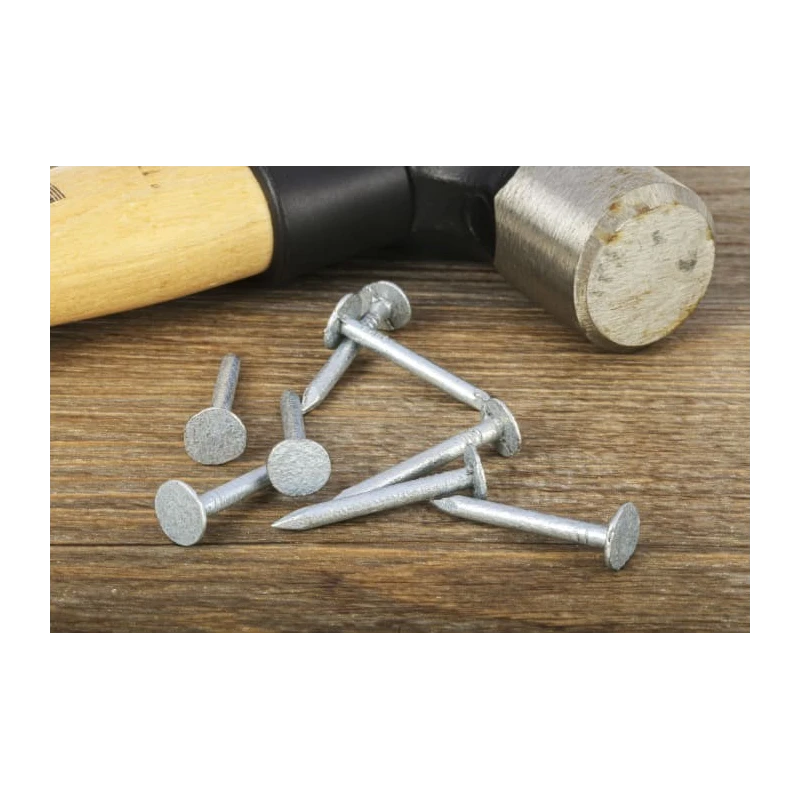 RS PRO Galvanised Brad Nails 30 mm Length x 3 mm Diameter, 500 g Bag 170-1646