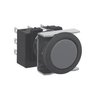 Idec LB Series Illuminated Momentary Push Button Switch, 16 mm Cutout, DPDT, IP65, 30 V dc 125 V ac LB6B-M1T6B