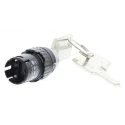 EAO IP65, IP40 Key Switch, 5A 2-Way, Polyamide Housing, Gold Plated Silver 61-9210.0,61-9220.0,61-9230.0,61-2201.0/D