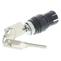 EAO IP65, IP40 Key Switch, 5A 2-Way, Polyamide Housing, Gold Plated Silver 61-9210.0,61-9220.0,61-9230.0,61-2201.0/D
