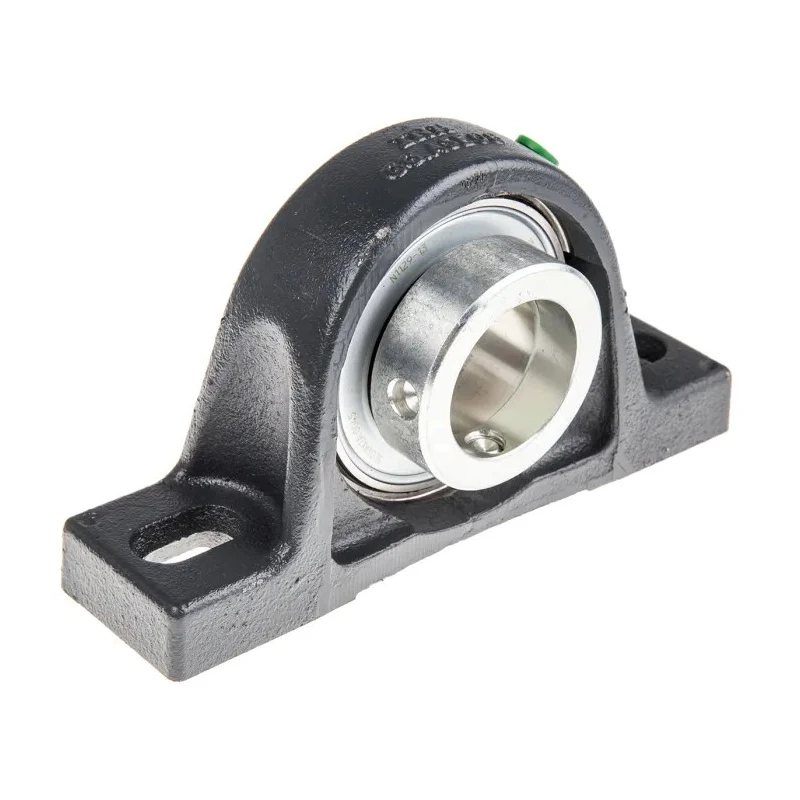 INA Plummer Block House, Cast Iron, 40 mm Inside Diameter, 49.2 mm Centre Height, 179 mm Length, PASE40-XL-N
