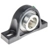 INA Plummer Block House, Cast Iron, 40 mm Inside Diameter, 49.2 mm Centre Height, 179 mm Length, PASE40-XL-N