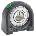 INA Plummer Block House Cast Iron 20 mm Inside Diameter PSHE20-XL-N
