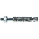 RawlPlug Carbon Steel Masonry Shield Anchor Bolt M10 x 105 mm Zinc Plated R-RBP-M10/30W