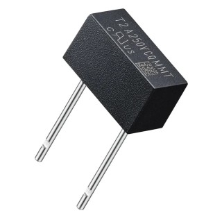 RS PRO Non-Resettable Fuse Radial Lead Time Delay 3.15A 250V Plastic Body 174-7956