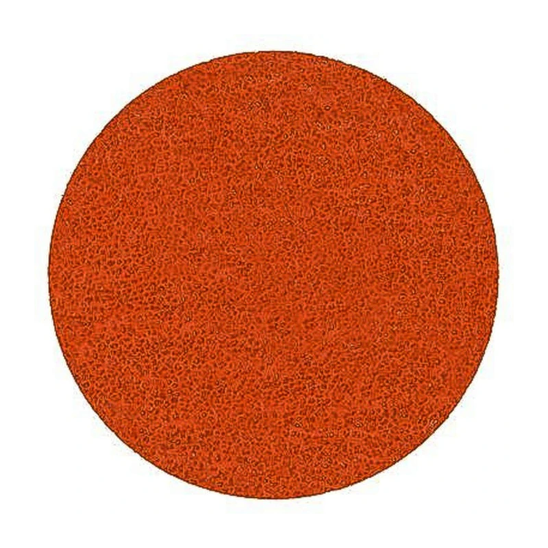 3M 787C Ceramic Grinding Disc, 50 mm Diameter, P80 Grit, Roloc Attachment System 89699