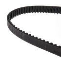 RS PRO HTD Timing Belt 200 Teeth, 1.6 m Length, 20 mm Width, Rubber with Fibreglass Cord 175-5184