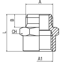 RS PRO Brass Straight Threaded Reducer Pipe Fitting Male G 1/8 in to Female BSPP 1/8 in 176-0996