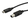 StarTech.com USB 2.0 Male USB Type C to Male USB B Cable Black 2m USB2CB2M