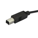 StarTech.com USB 2.0 Male USB Type C to Male USB B Cable Black 2m USB2CB2M
