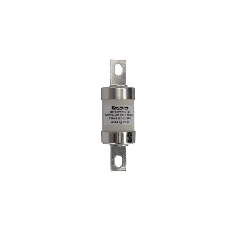 Mersen 125A Bolted Tag Fuse B2 690V AC with 111 mm Fixing Centres G1006624 / BTF69V125M160