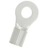 RS PRO Uninsulated Ring Terminal 5.3 mm Stud Size 8 AWG Wire Size, Grey 178-8623