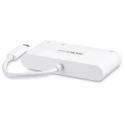 StarTech.com 1920 x 1200 Pixel USB C Docking Station with USB 3.0 Ports and DVI Output DKT30CDVPD