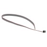 Samtec FFSD Series Flat Ribbon Cable 1.27 mm Pitch, 10 Conductors, 304.8 mm Length FFSD-05-S-12.00-01-N