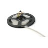 Intelligent LED Solutions 5V dc RGB LED Strip, 3000K Colour Temp, 2 m Length ILPX-K307-RGB1-2M0-SK15V10-I1.