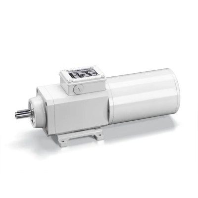 Mini Motor Helical AC Geared Motor 130 W 3 Phase 2-Pole 230V/400V Flange Foot Mounting PAF4T2