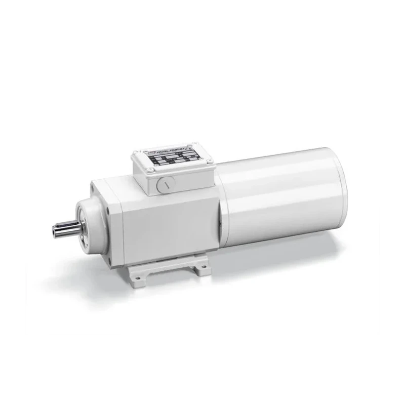 Mini Motor Helical AC Geared Motor 130 W 3 Phase 2-Pole 230V/400V Flange Foot Mounting PAF4T2