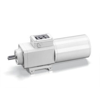 Mini Motor Helical AC Geared Motor 130 W 3 Phase 2-Pole 230 V 400 V Foot Flange Mounting PAF4T2