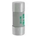 Eaton 125A AM Ceramic Cartridge Fuse 22 x 58 mm, 400V AC, Time-Delay C22M125