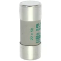 Eaton Ceramic Cartridge Fuse 63A AM Time-Delay, 690V AC, 22 x 58 mm C22M63