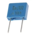 TDK B32529 Film Capacitor 10 nF 63V AC 100 V DC Through Hole 2 Pins B32529C1103J000