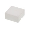 Honeywell Technologies Indicator Lens Square Style White 20.5 mm Length AML51-C10W