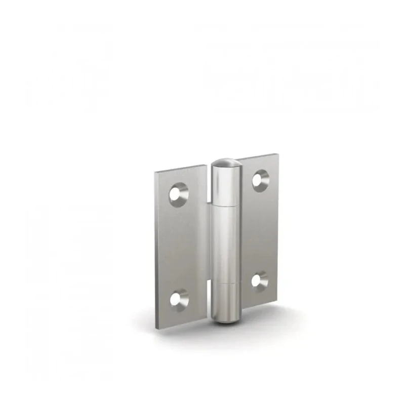 Pinet Raw Stainless Steel Butt Hinge Rivet Fixing 40 mm x 40 mm x 2 mm 52A3861