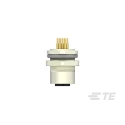 TE Connectivity Circular Connector 12 Contacts Rear Mount M12 Socket Female IP67 Nylon Housing T4141012121-000