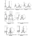 NEUTRAL Technologies GLE Series Metal Roller Limit Switch, DPDT, IP67, Die Cast Zinc Epoxy Coated Housing, 240V GLEB01A1B