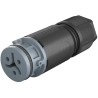 Wieland 3 Series Cable Circular Connector Female Screw 2-Pole 8A IP66 IP68 IP69 41.021.3041.4