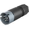 Wieland RST 08i2/3 Series 2-Pole Cable Male Connector Male Screw Termination 8A 120V IP69 IP68 IP66 41.022.3041.4