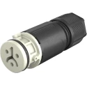 Wieland 2-Pole RST 08i2/3 Series Cable Circular Connector Female Screw Termination 8A, 120/50V, IP66/IP68/IP69 41.021.3041.8