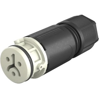Wieland 2-Pole RST 08i2/3 Series Cable Circular Connector Female Screw Termination 8A, 120/50V, IP66/IP68/IP69 41.021.3041.8